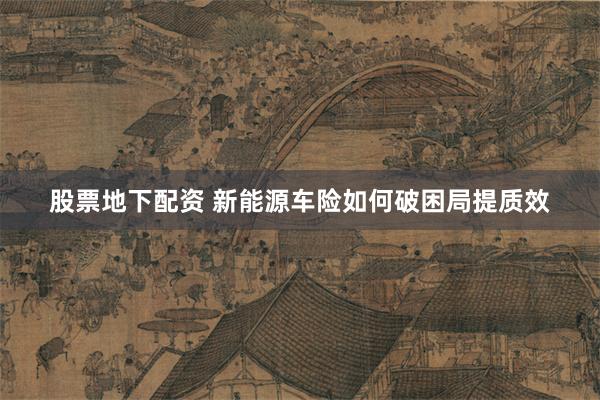 股票地下配资 新能源车险如何破困局提质效