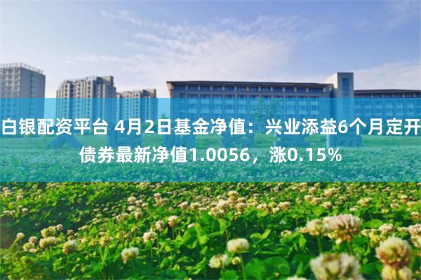 白银配资平台 4月2日基金净值：兴业添益6个月定开债券最新净值1.0056，涨0.15%
