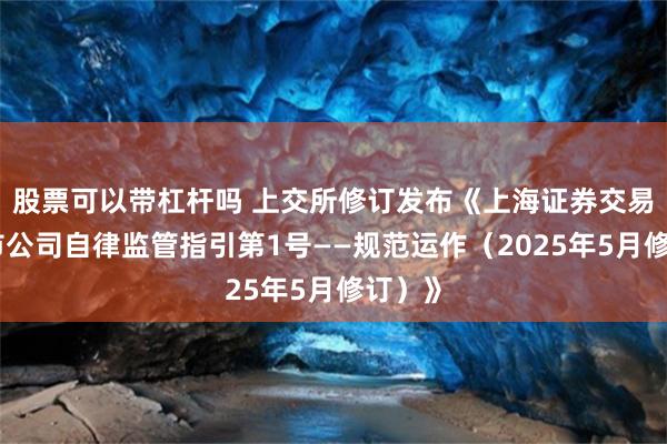 股票可以带杠杆吗 上交所修订发布《上海证券交易所上市公司自律监管指引第1号——规范运作（2025年5月修订）》