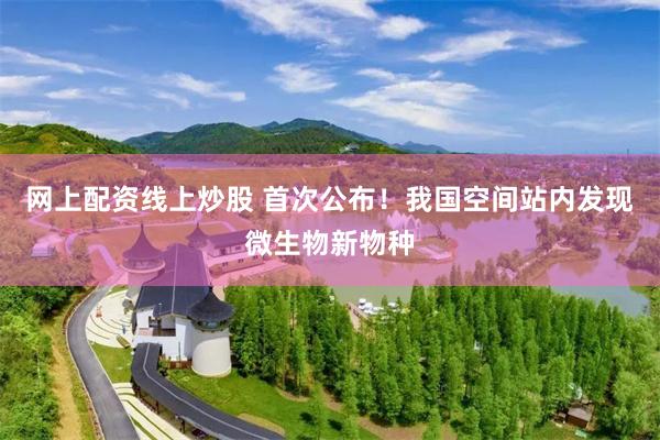 网上配资线上炒股 首次公布！我国空间站内发现微生物新物种
