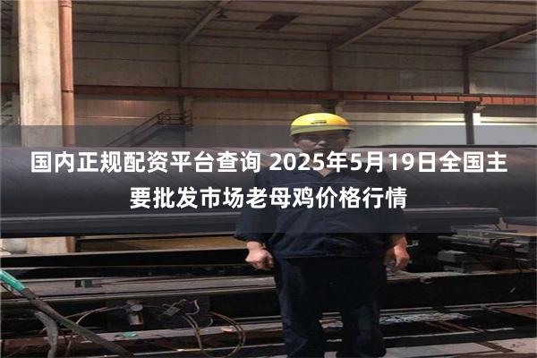 国内正规配资平台查询 2025年5月19日全国主要批发市场老母鸡价格行情
