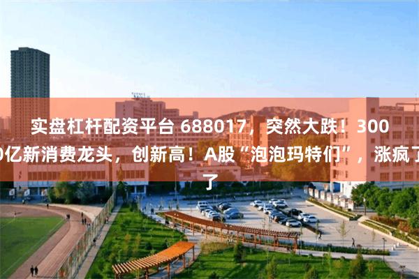 实盘杠杆配资平台 688017，突然大跌！3000亿新消费龙头，创新高！A股“泡泡玛特们”，涨疯了