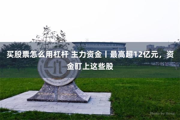 买股票怎么用杠杆 主力资金丨最高超12亿元，资金盯上这些股