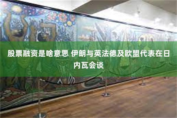 股票融资是啥意思 伊朗与英法德及欧盟代表在日内瓦会谈