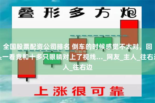 全国股票配资公司排名 倒车的时候感觉不太对，回头一看竟和十多只眼睛对上了视线..._网友_主人_往右边