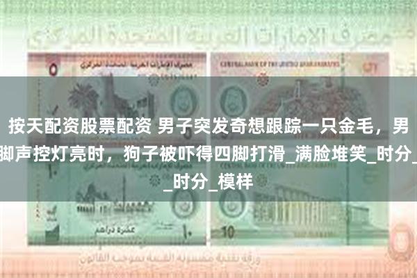 按天配资股票配资 男子突发奇想跟踪一只金毛，男子跺脚声控灯亮时，狗子被吓得四脚打滑_满脸堆笑_时分_模样