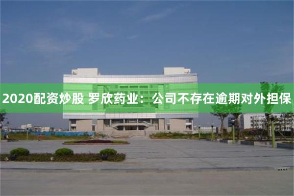 2020配资炒股 罗欣药业：公司不存在逾期对外担保
