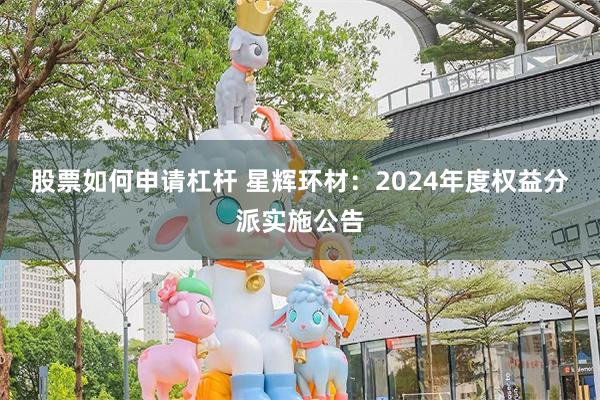 股票如何申请杠杆 星辉环材：2024年度权益分派实施公告