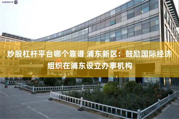 炒股杠杆平台哪个靠谱 浦东新区：鼓励国际经济组织在浦东设立办事机构