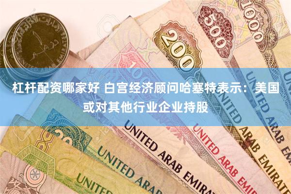 杠杆配资哪家好 白宫经济顾问哈塞特表示：美国或对其他行业企业持股