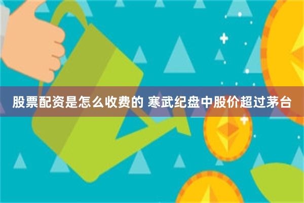 股票配资是怎么收费的 寒武纪盘中股价超过茅台
