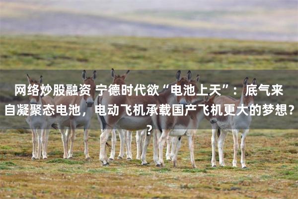 网络炒股融资 宁德时代欲“电池上天”：底气来自凝聚态电池，电动飞机承载国产飞机更大的梦想？